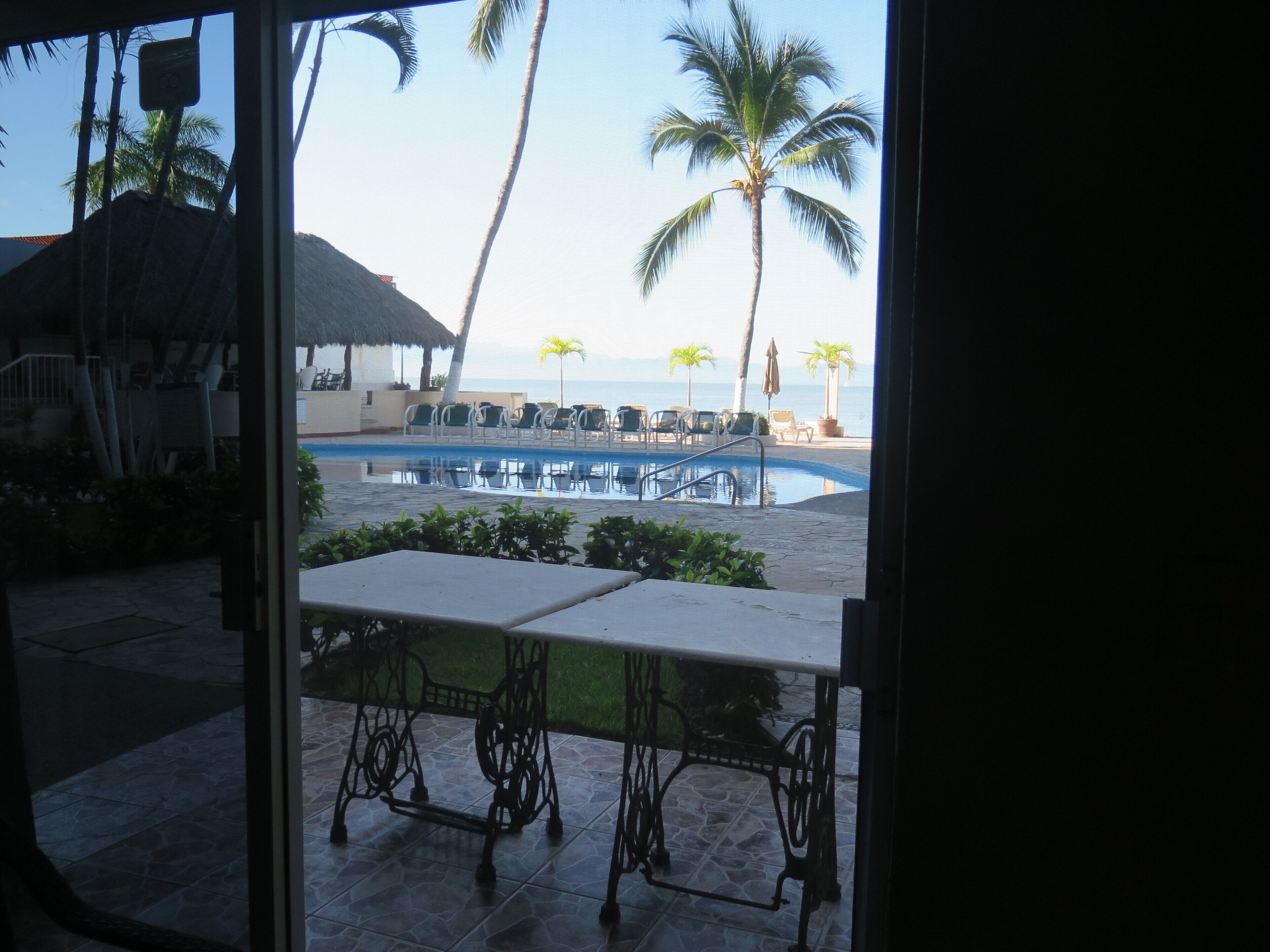 A pool area with lounge chairs and palm trees, viewed from inside a building.