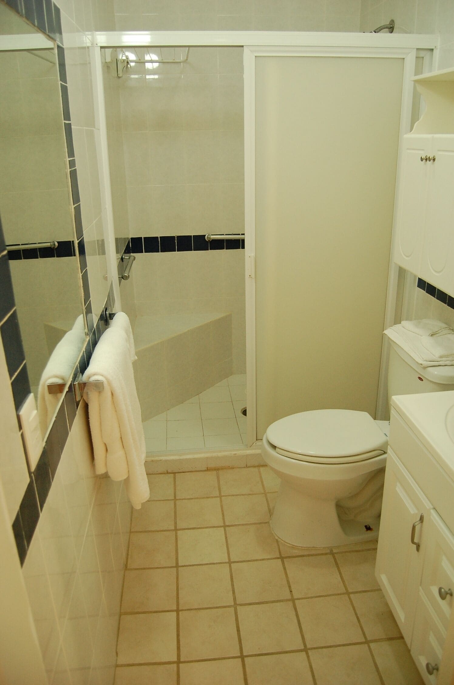 Une salle de bain avec une douche, des toilettes et un lavabo.
