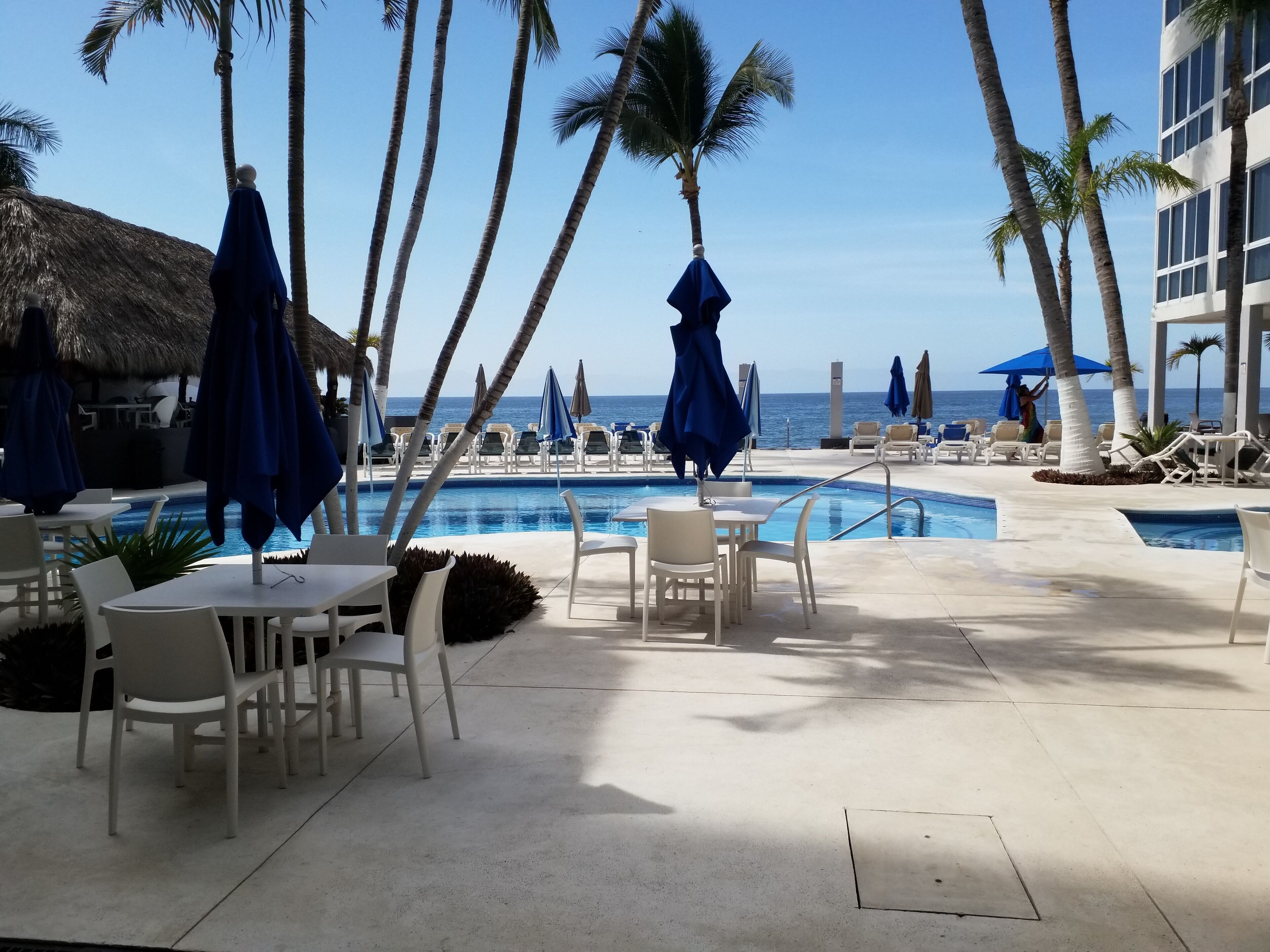 A poolside area with lounge chairs and umbrellas, palm trees, and a view of the ocean.