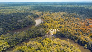 An aerial view of a forested area with a river and a small cluster of thatched-roof huts.