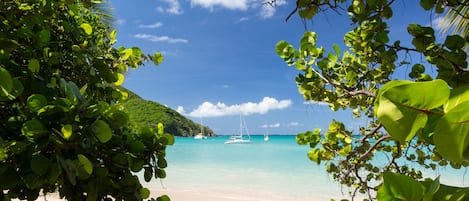 Plage, chaises longues, serviettes de plage