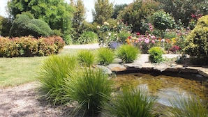 Een tuin met een vijver, verschillende planten en een verzorgd gazon.
