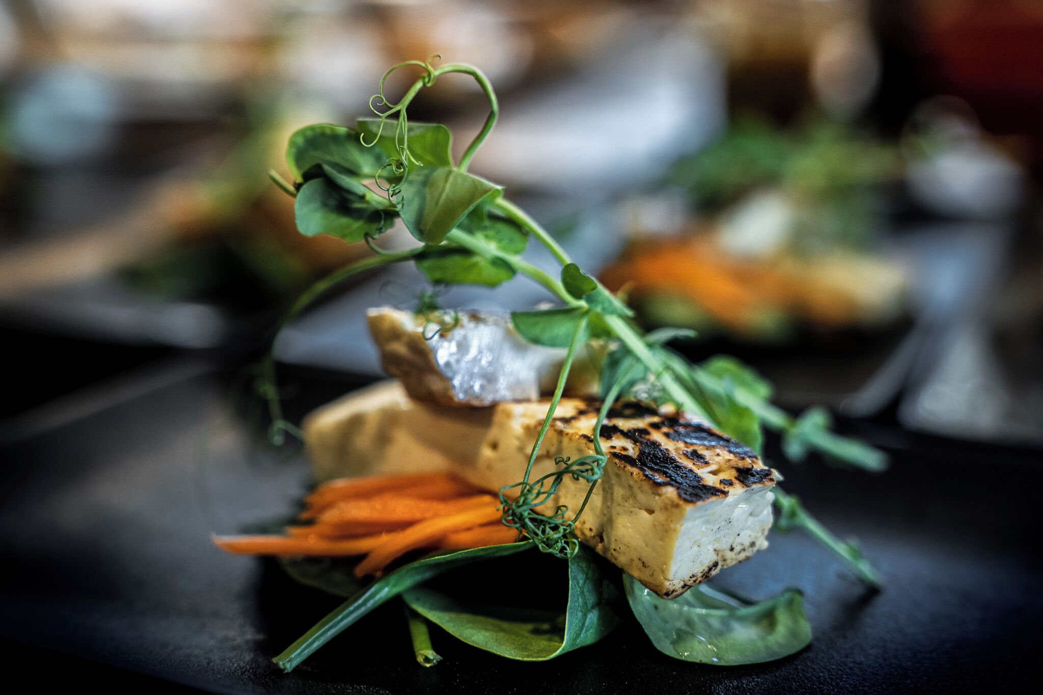 Primer plano de un plato con tofu a la parrilla, zanahorias y verduras sobre una superficie oscura.