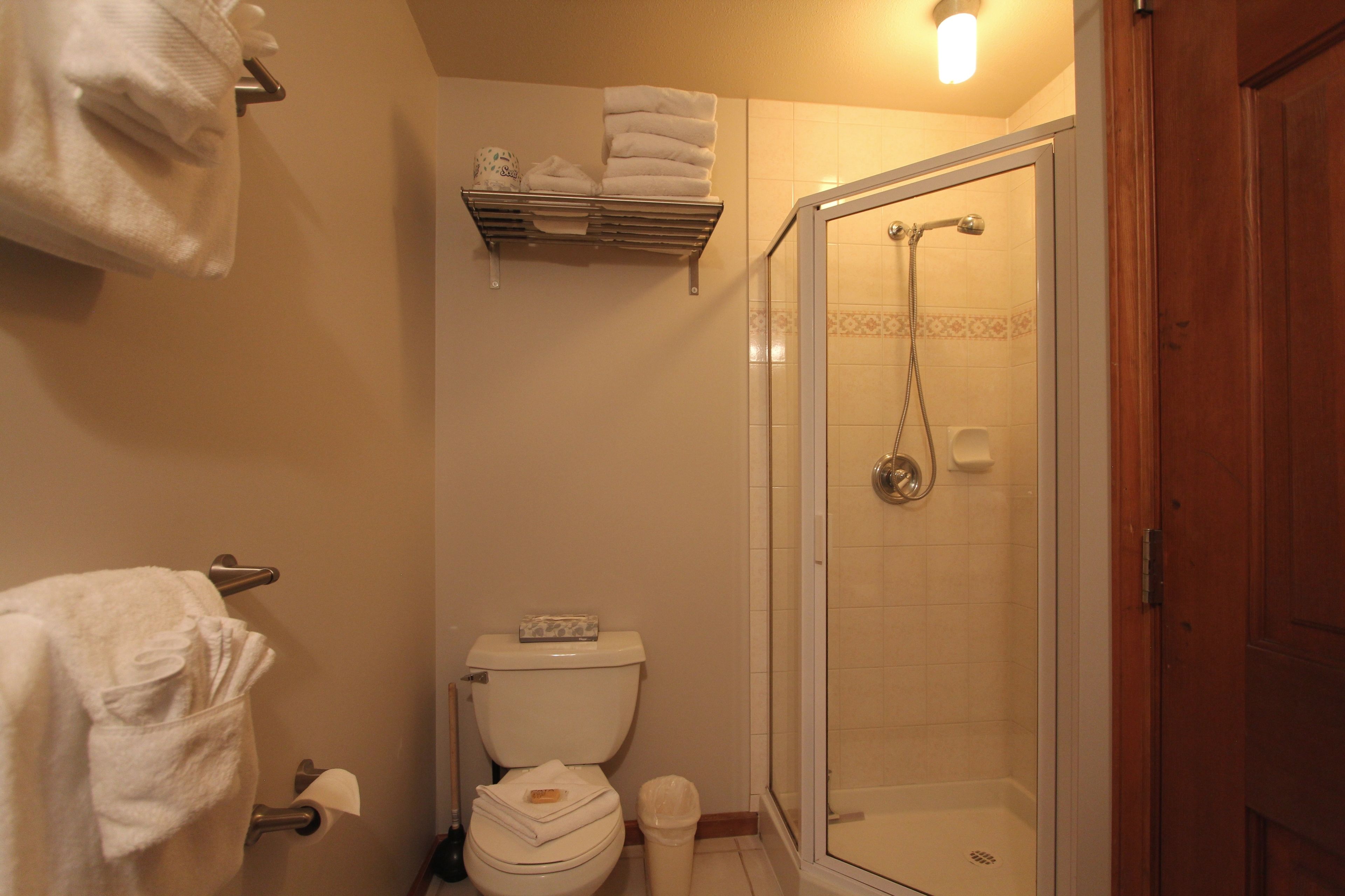 Een badkamer met toilet, een douche met glazen wanden en een handdoekrek.