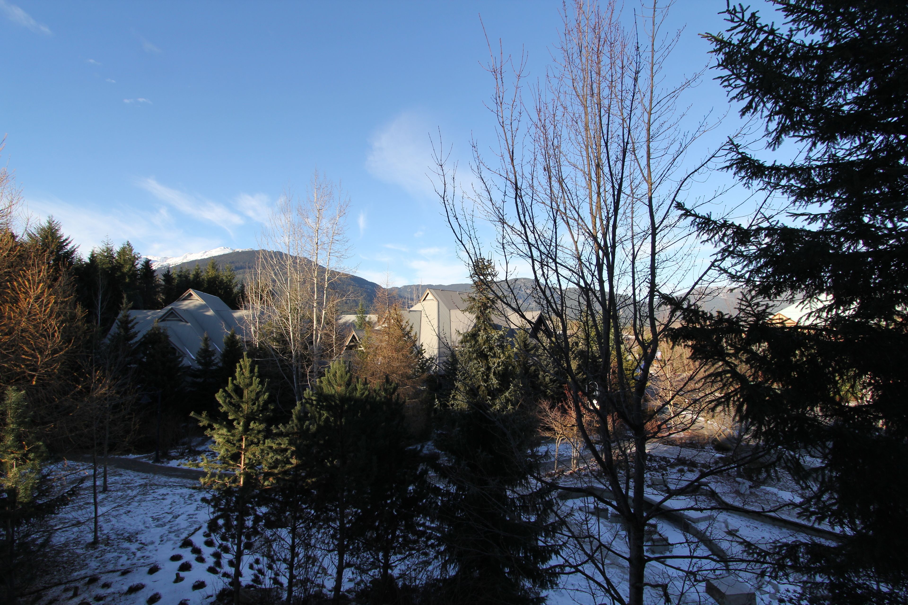 Schneebedeckte Landschaft mit einem Haus, umgeben von Bäumen und Bergen im Hintergrund.