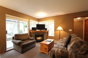 Chimenea, reproductor de DVD