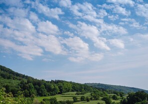 Uklassifisert bilde, 5 av 22, knapp