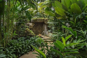 A lush indoor garden with a stone structure, various plants, and a pathway.