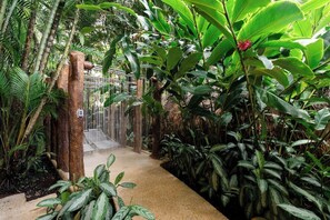 Property grounds - Royal Corin Thermal Water Spa and Resort (La Fortuna)