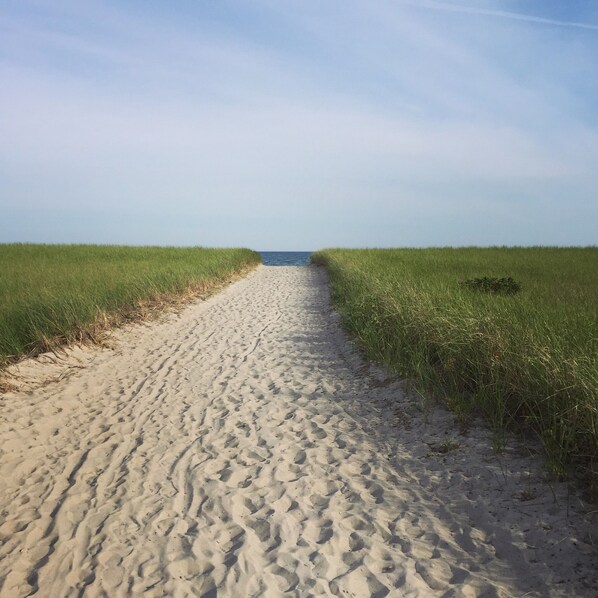 Beach nearby, sun-loungers, beach towels - Charming Pine Point OOB Beach Cottage Tiny House, Steps away from the beach (Scarborough)
