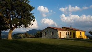 A stone house with a tiled roof, a yellow door, and a large tree in the foreground. - La Cerqua (Arcevia)