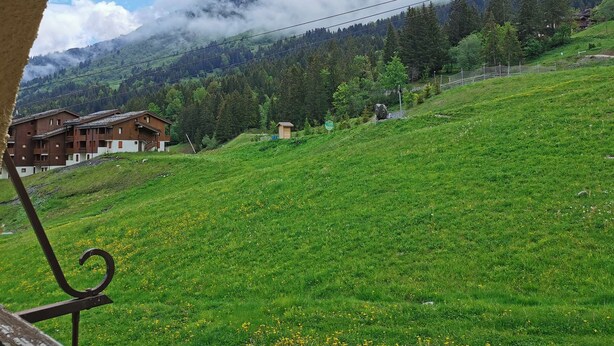 Un paysage montagneux avec un champ verdoyant, un chalet en bois et un bâtiment doté de nombreux balcons.