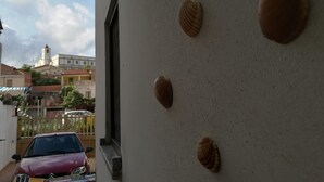 A building exterior with a row of seashells on the wall, a parked car, and a distant view of buildings and a tower. - Casa Mannu Fluminimaggiore - Authentic home in the historic village center (Fluminimaggiore)