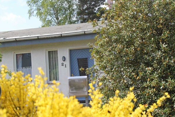 Et etagers hus med nummer 21 på døren, omgivet af grønt og gule blomster.