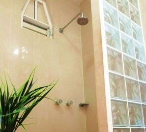Kamar Standar | Shower kamar mandi