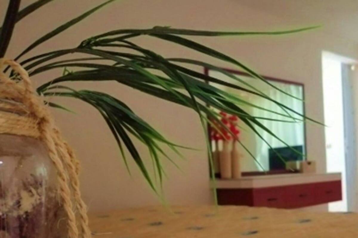 Standard Room | Blackout drapes, WiFi (free), bed sheets