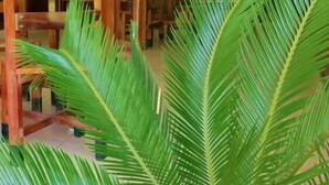 Dining - Hotel Laguna Encantada (Santa Elena)