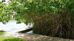 Lake view - Hotel Laguna Encantada (Santa Elena)