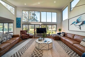 Smart TV, fireplace, DVD player, books