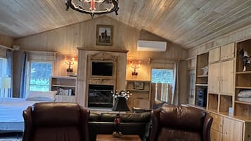 Smart TV, fireplace, books