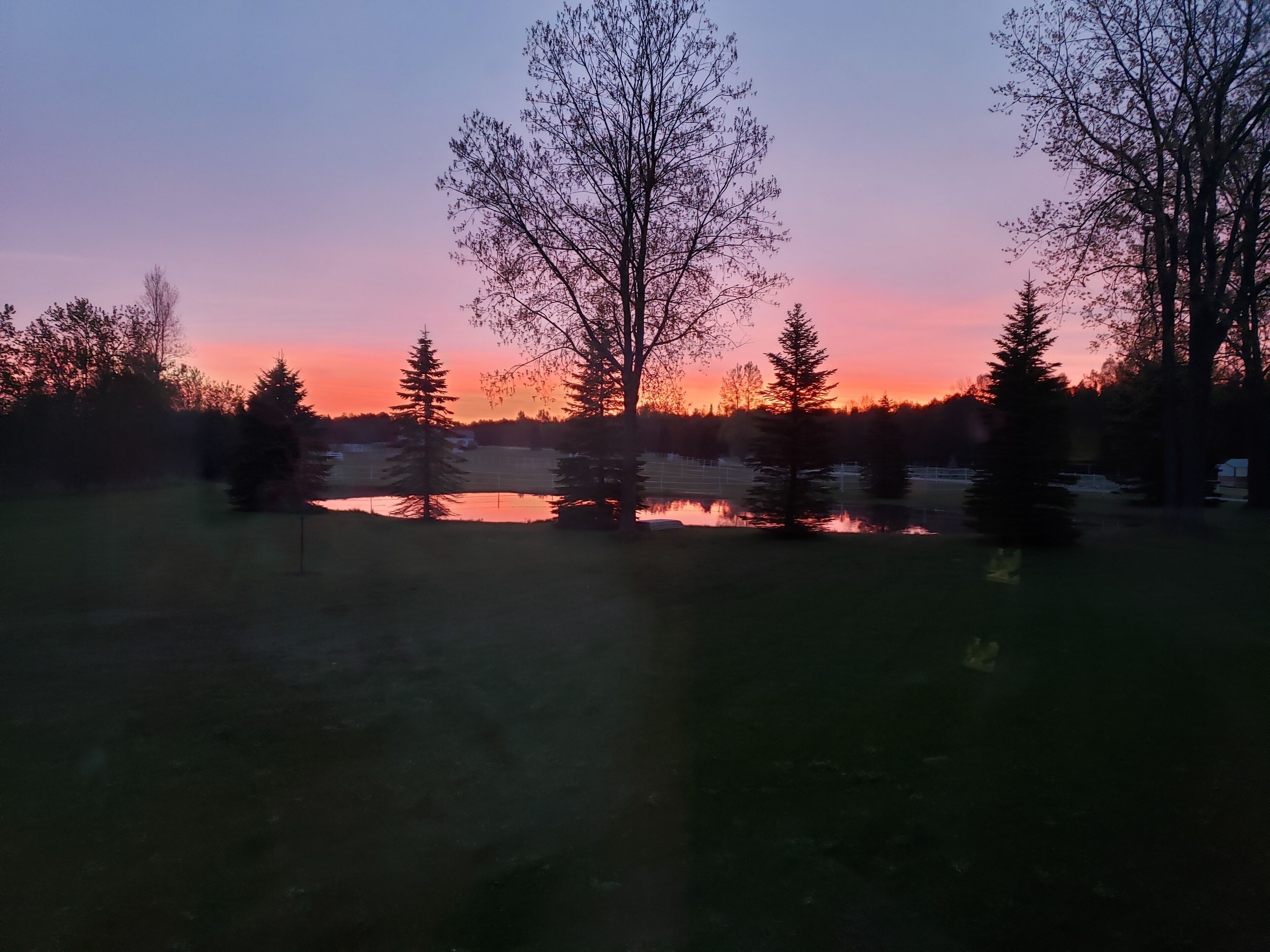 A serene landscape with a body of water reflecting trees and a sunset sky.