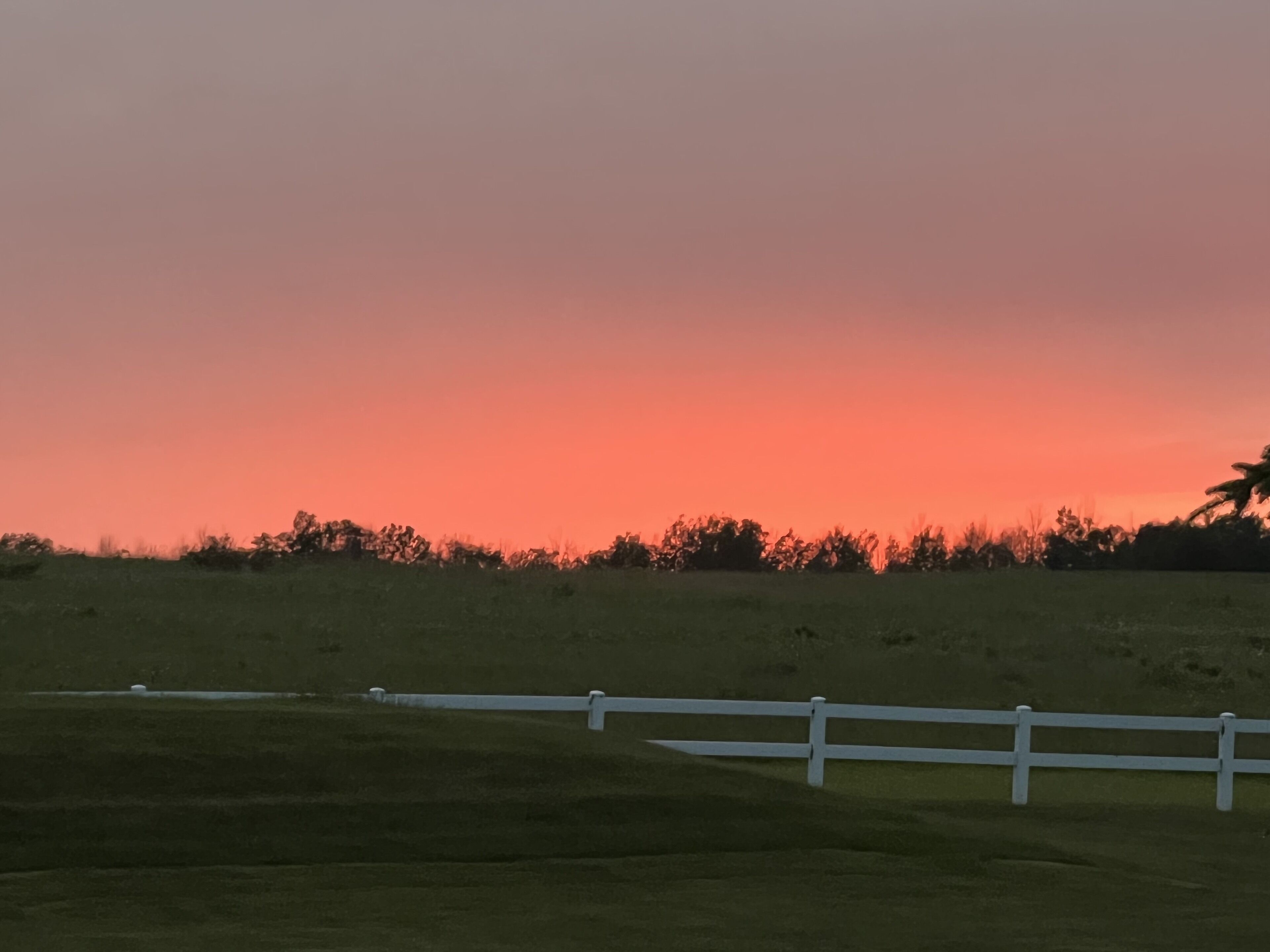 Un coucher de soleil sur un champ verdoyant, avec une clôture blanche.
