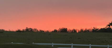 Un coucher de soleil sur un champ verdoyant, avec une clôture blanche.