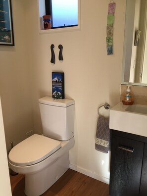 Hair dryer - Quail Rise - Home with spectacular views (Lower Shotover)