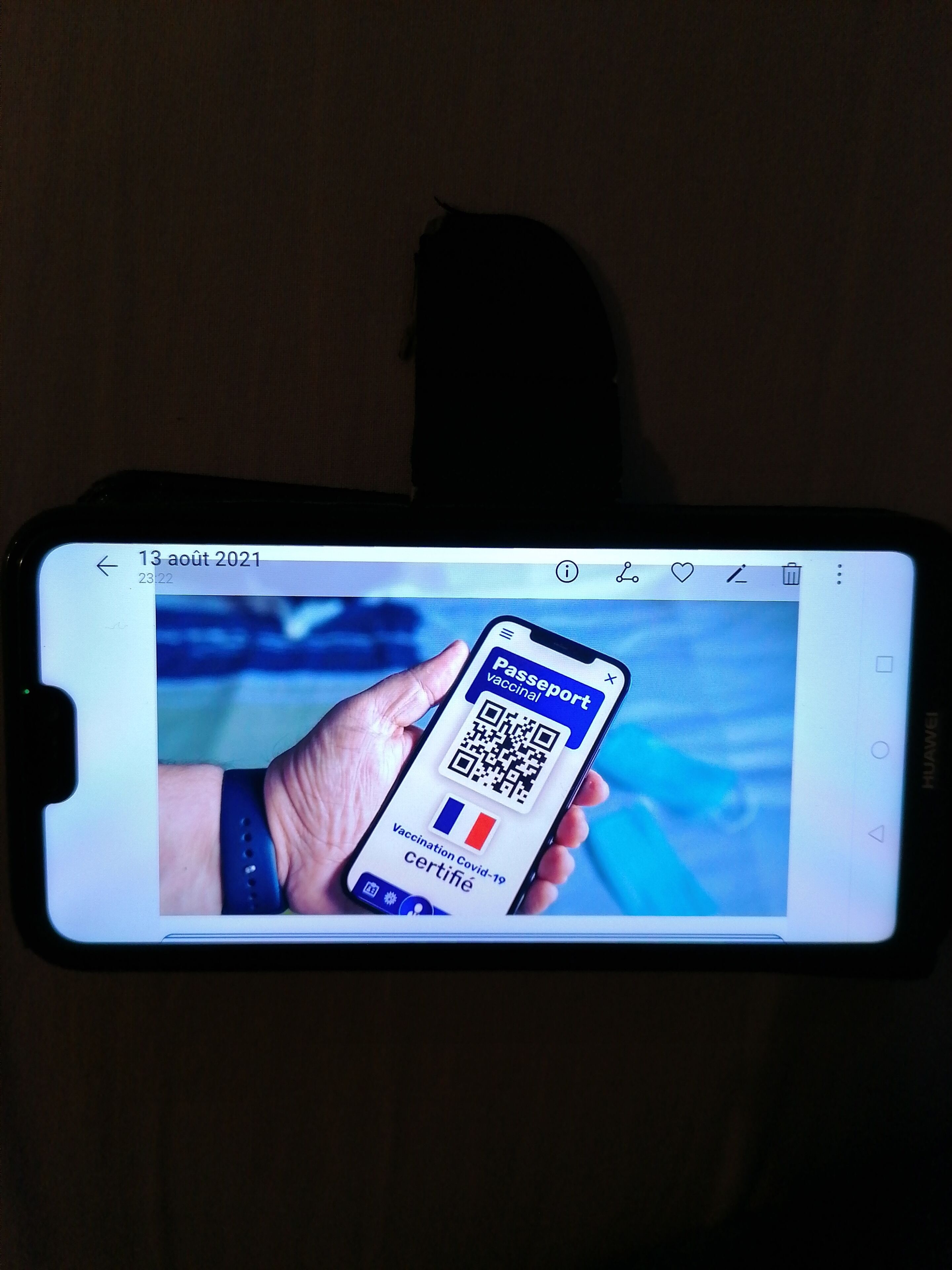 A smartphone displaying a vaccination certificate app.