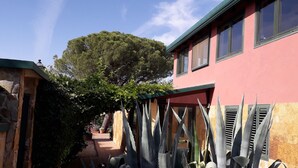 A narrow alleyway with a pink building on the right, surrounded by various plants and a large tree.