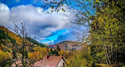 Zweihundertjähriges Haus am Fuße des Ballon d'Alsace