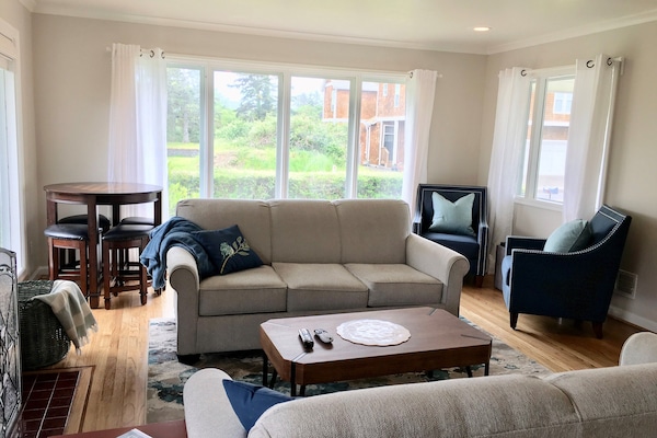 Smart TV, fireplace, DVD player, books