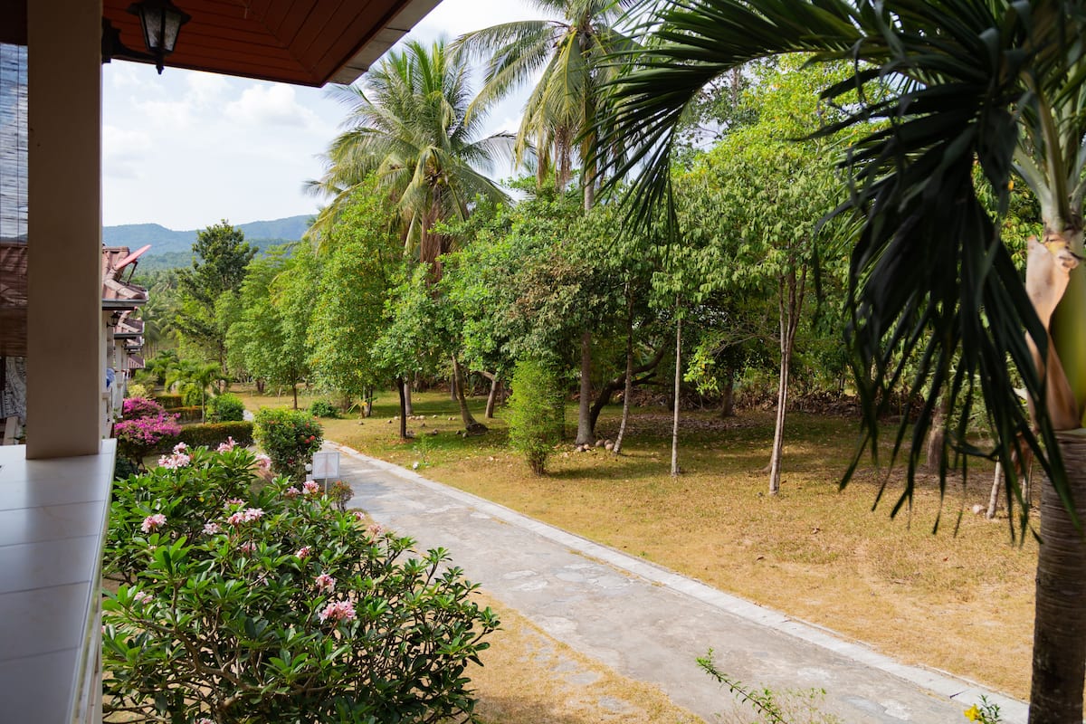 A pathway leading through a tropical garden with palm trees and flowering plants.