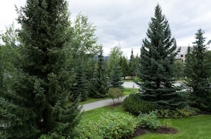 Terrain de l’hébergement 