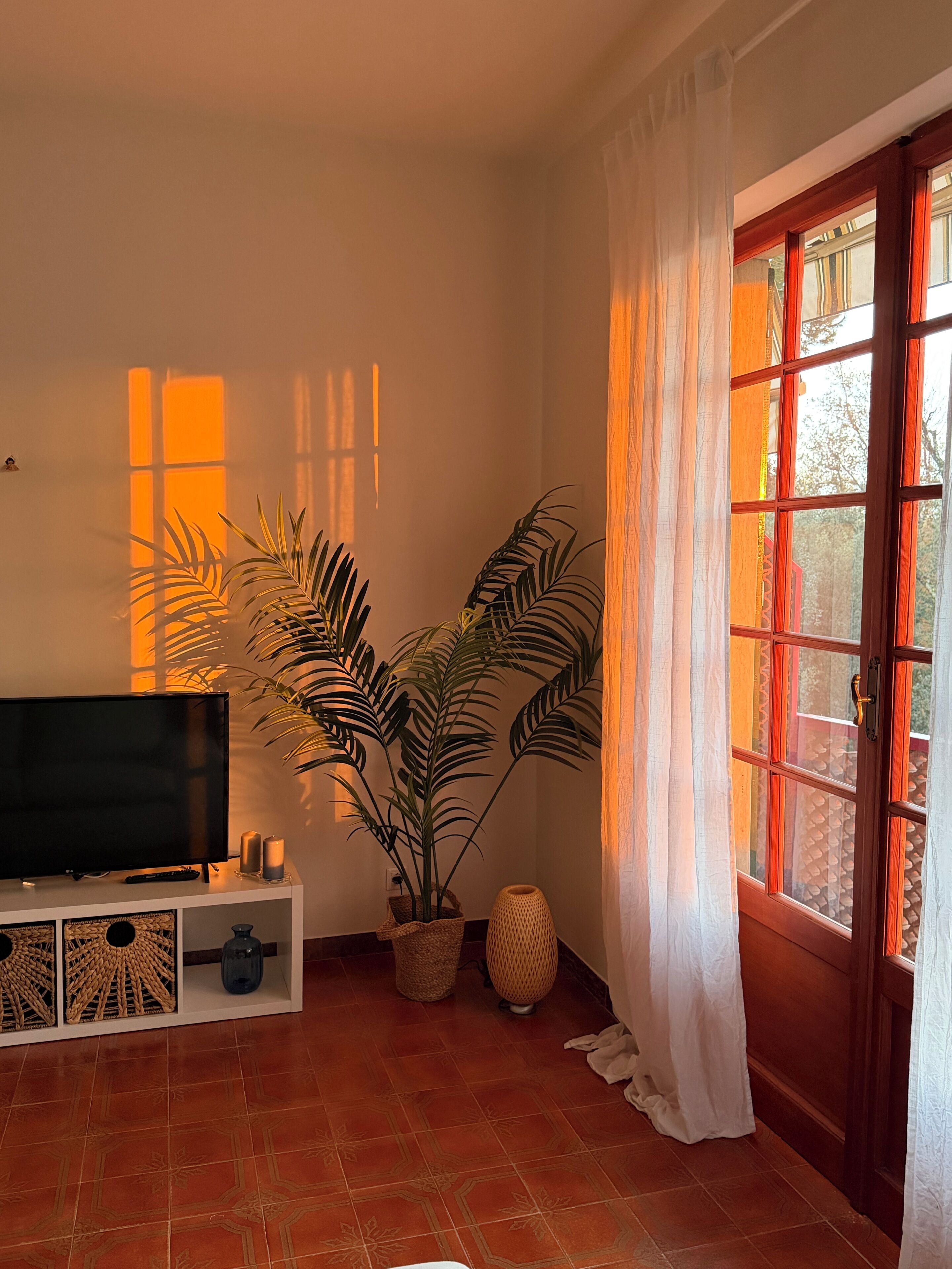 テレビ、DVD プレーヤー