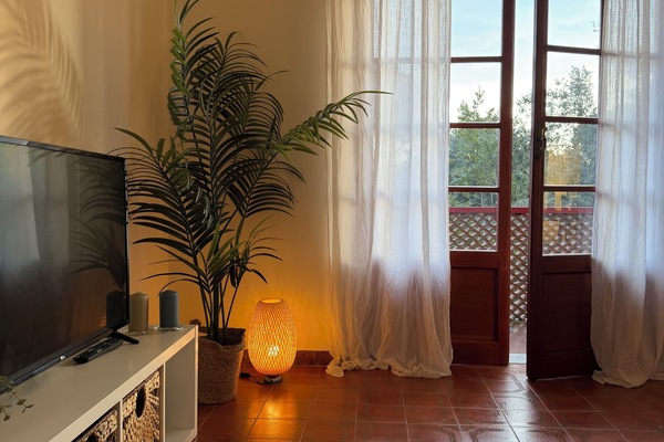 Fernseher, DVD-Player