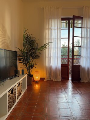 TV, DVD player