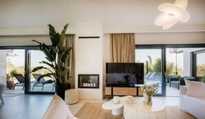 Télévision, cheminée, livres