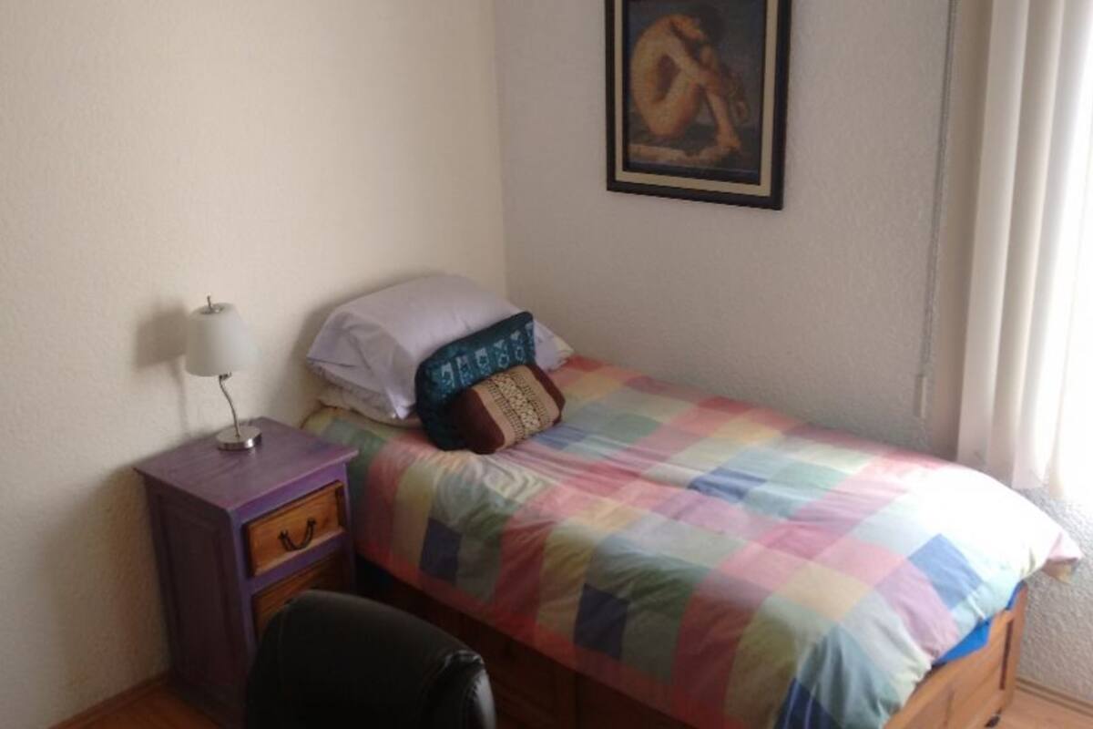 Basic Single Room | Iron/ironing board, bed sheets