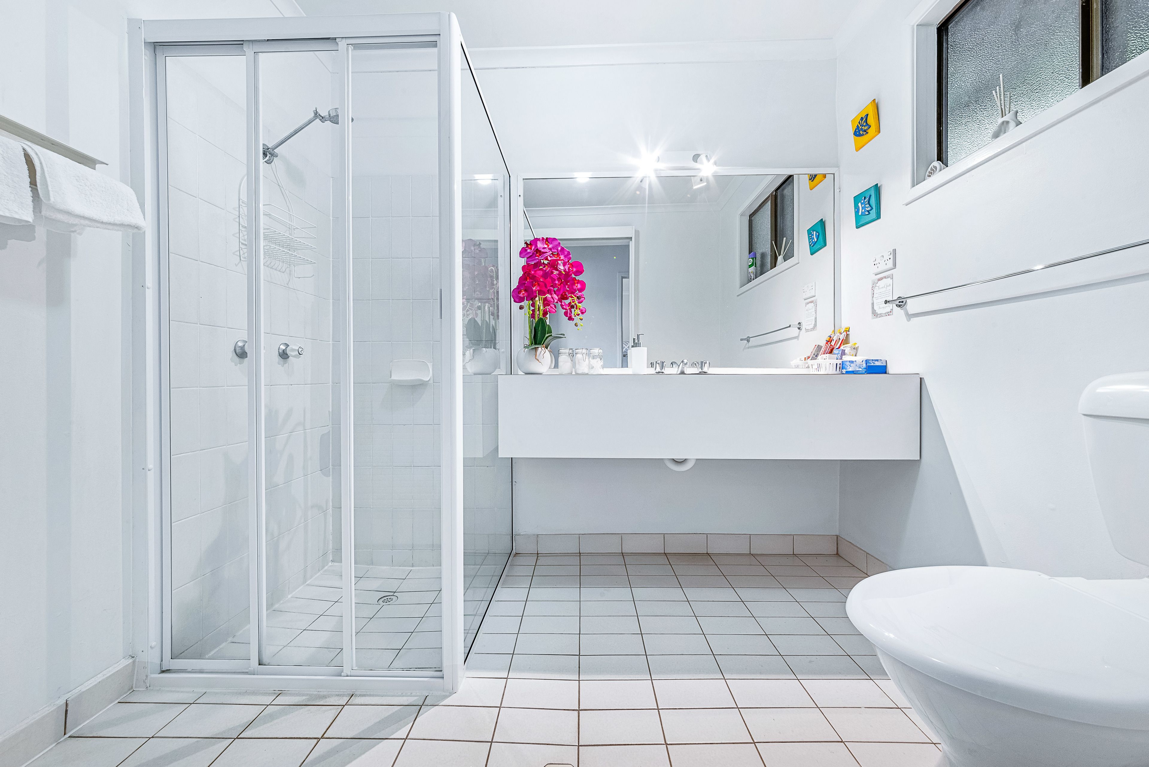 A modern bathroom with a glass shower enclosure, a white sink, and a toilet.