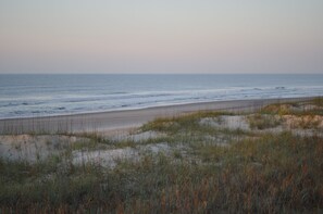 A beach with sand dunes and sparse vegetation.