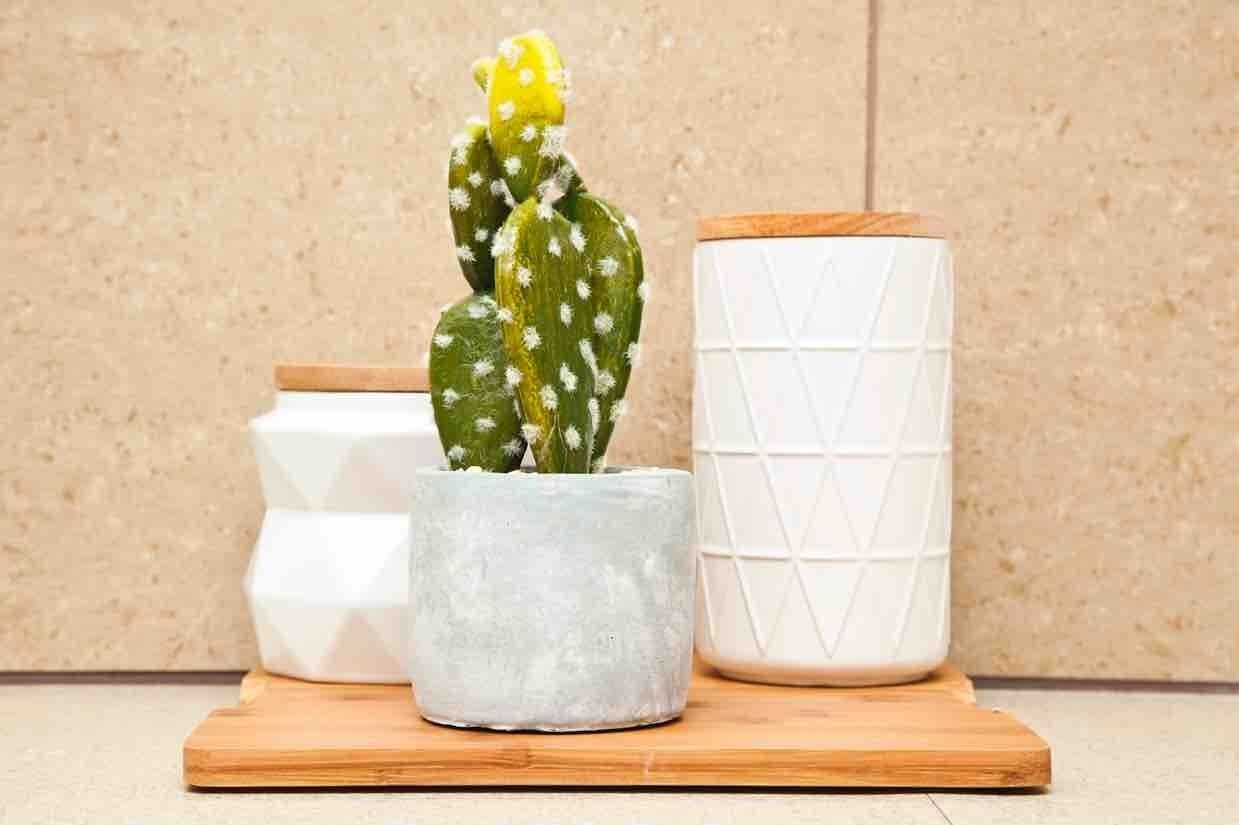 Bondi Beach Spacious Studio w Ocean View — image 5