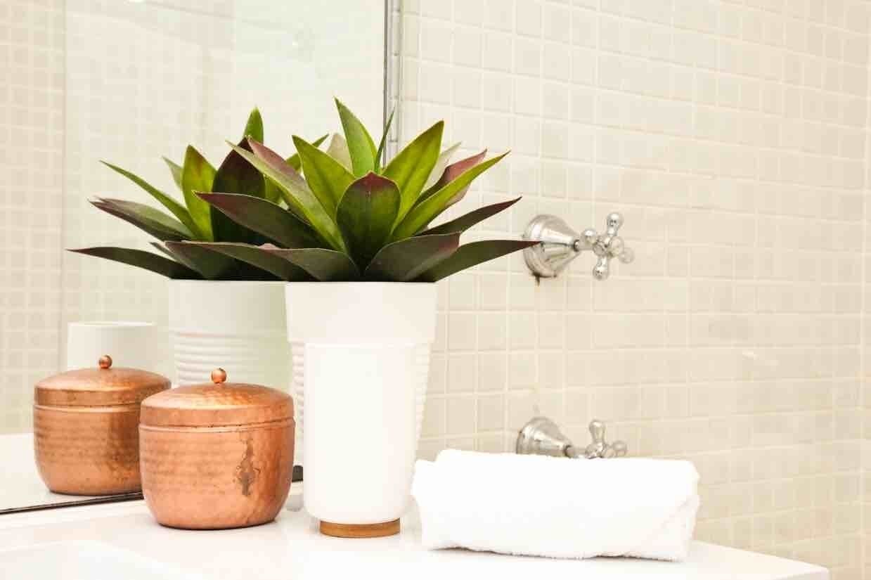 Bondi Beach Spacious Studio w Ocean View — image 12