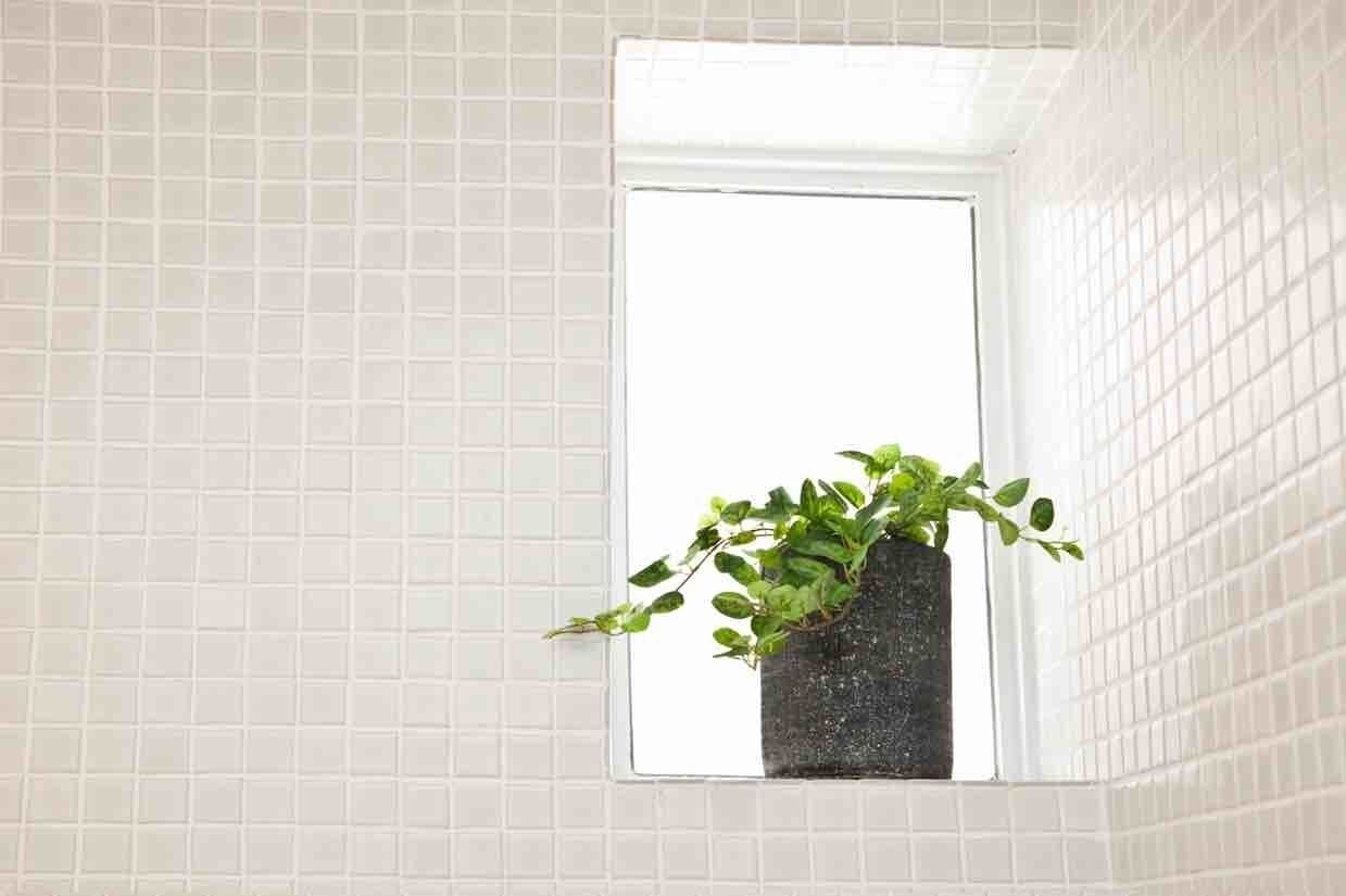 Bondi Beach Spacious Studio w Ocean View — image 17