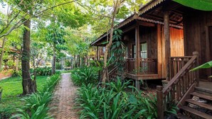 Uma cabana de madeira com um caminho de tijolos que a leva, rodeada por vegetação exuberante.