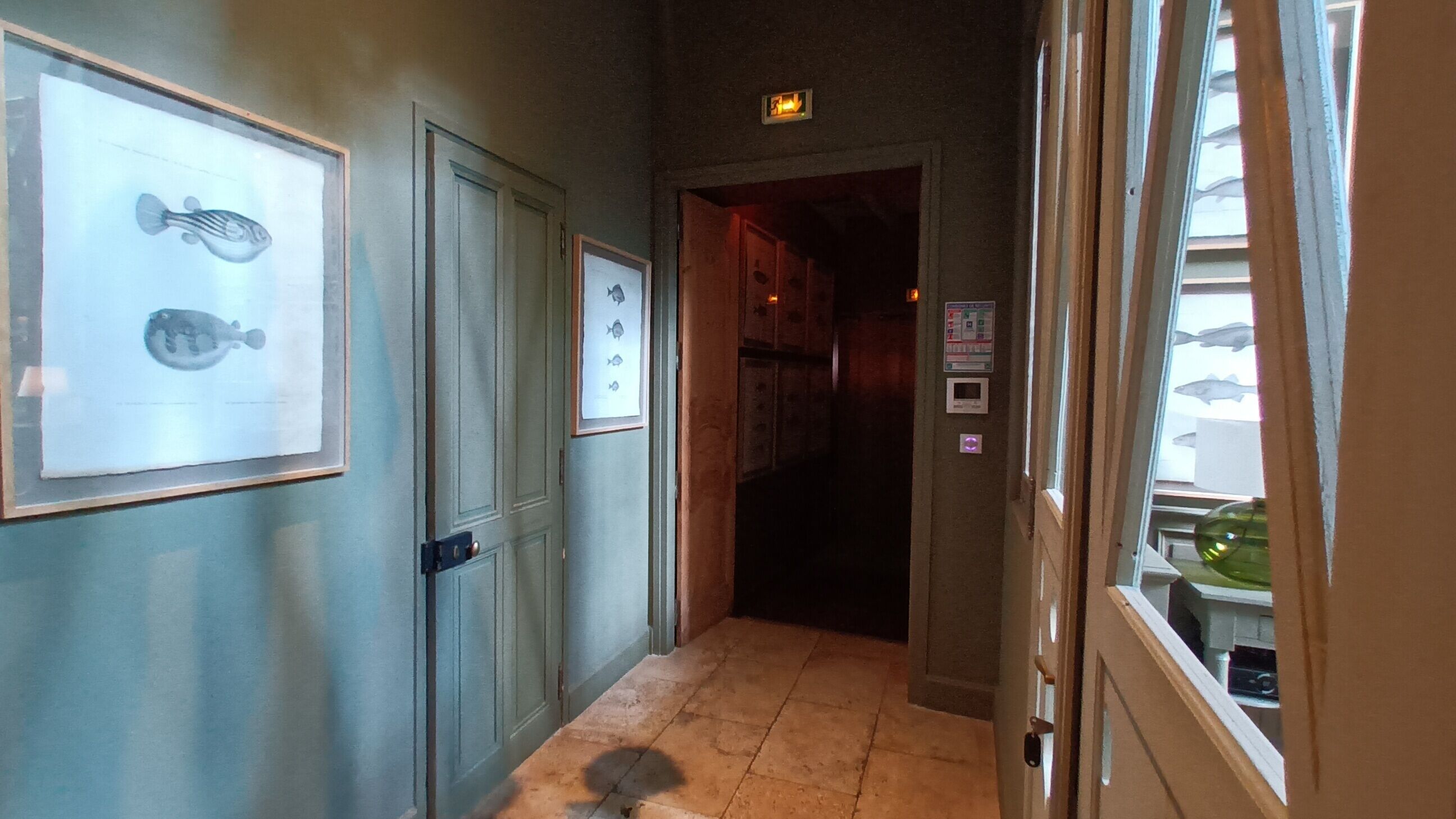 A hallway with framed fish illustrations on the walls, a tiled floor, and a door leading to another room.