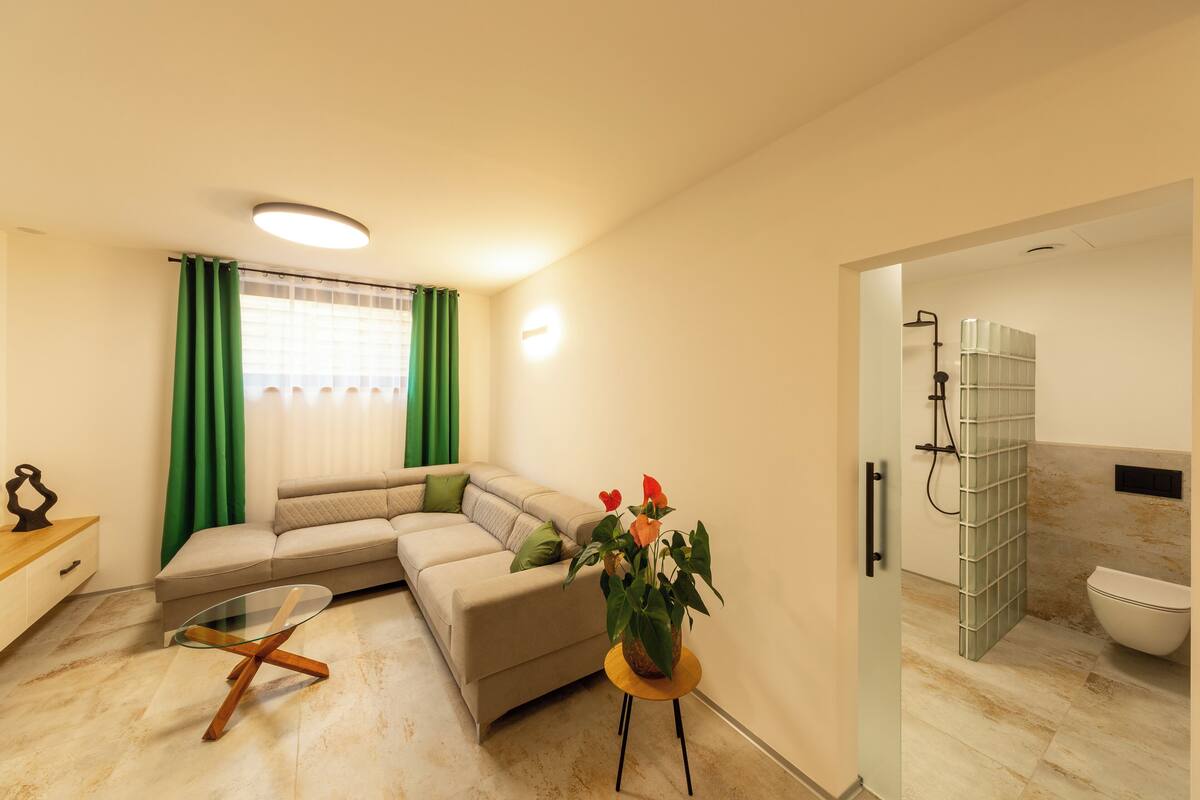 deluxe apartment | living area | 65-inch flat-screen tv with digital channels, netflix, pay films