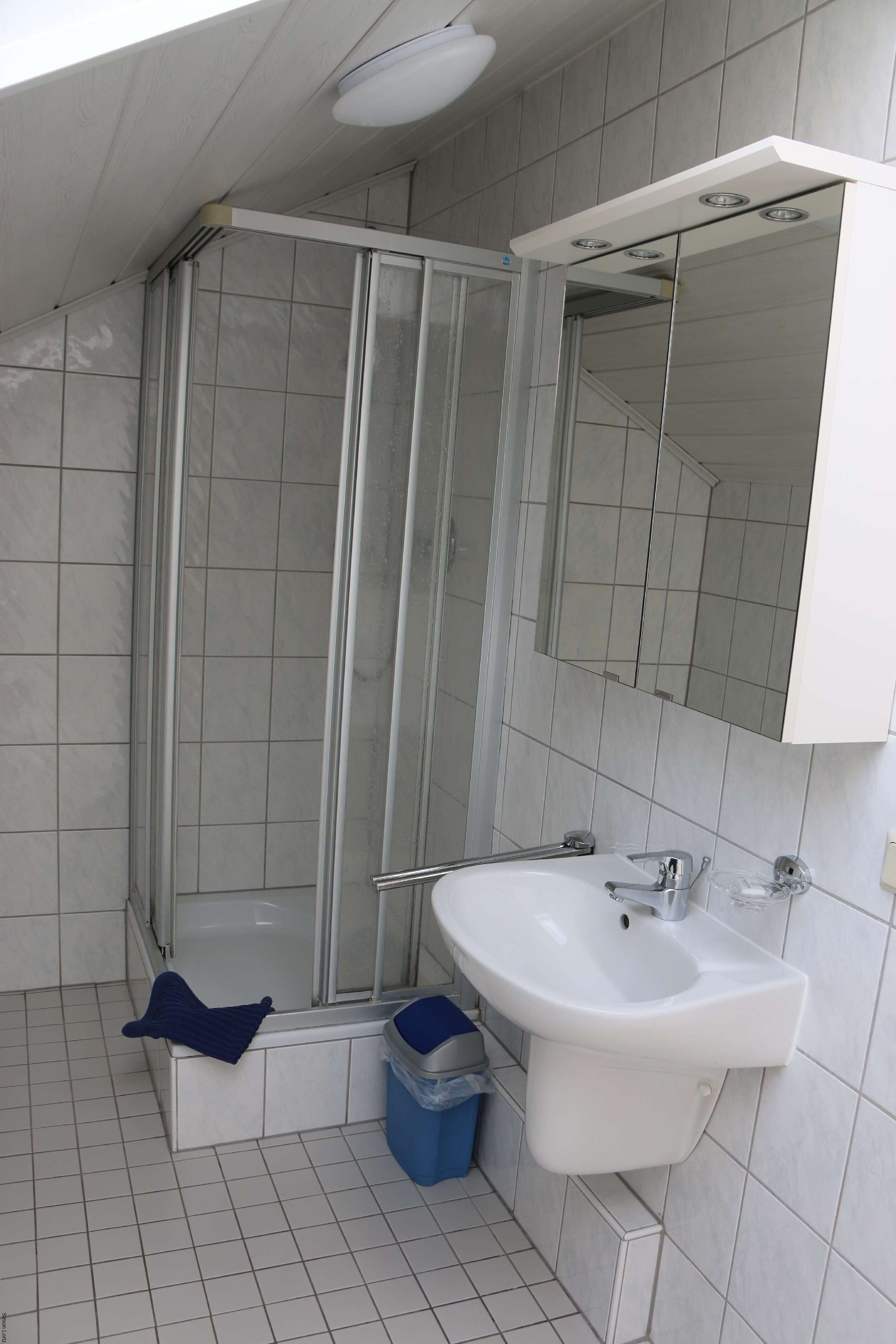 Une salle de bain avec une douche, un lavabo et un miroir.