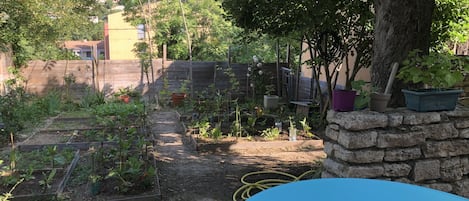 A garden with raised beds, a stone wall, and a blue table.