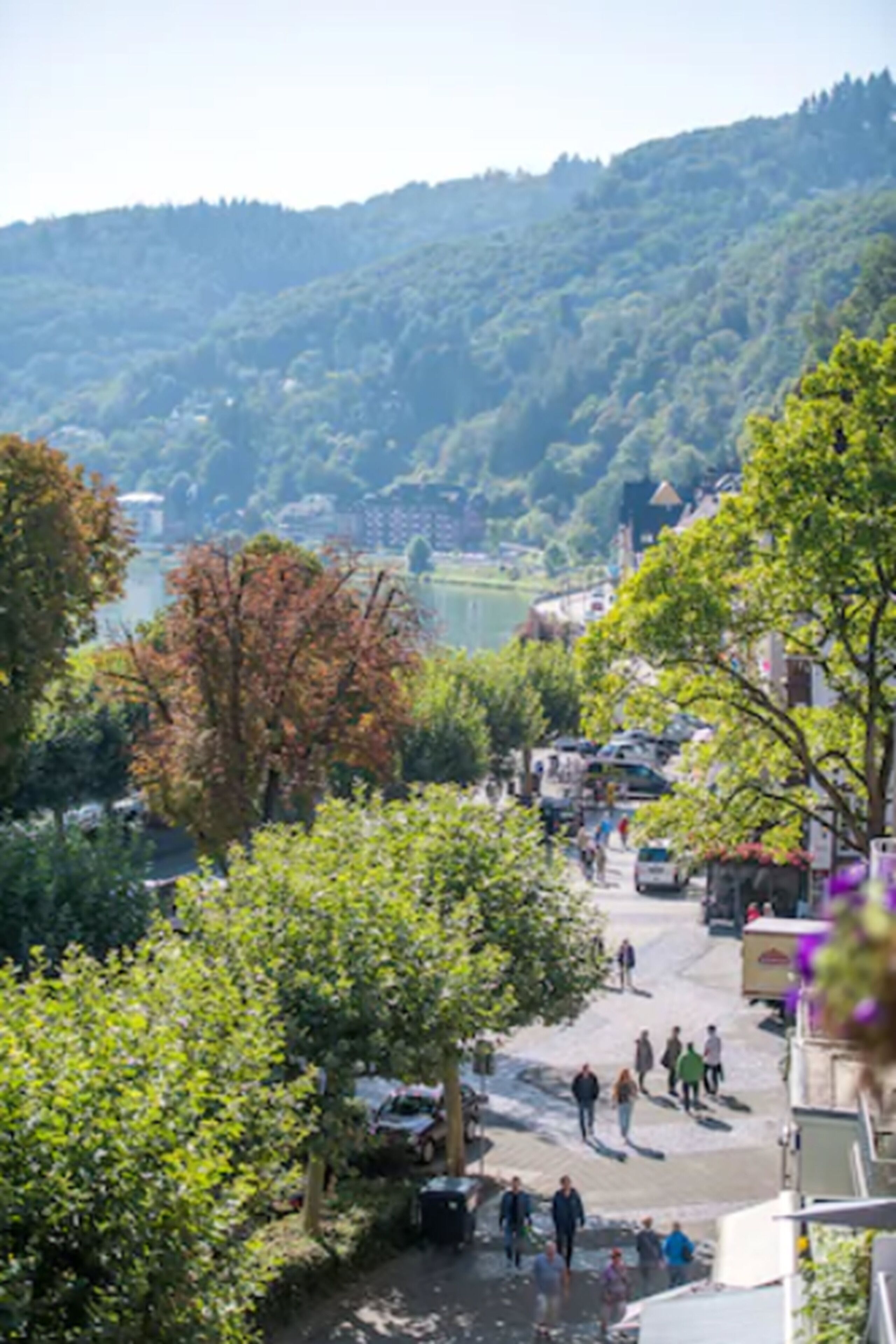 superior double room (frz. balkon moselseite) | view from room